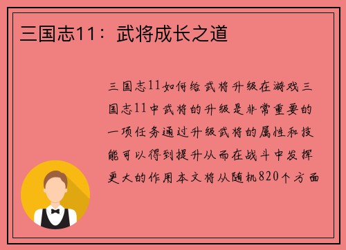 三国志11：武将成长之道